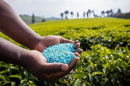 India has ample fertiliser stocks to meet farmers’ needs: Govt