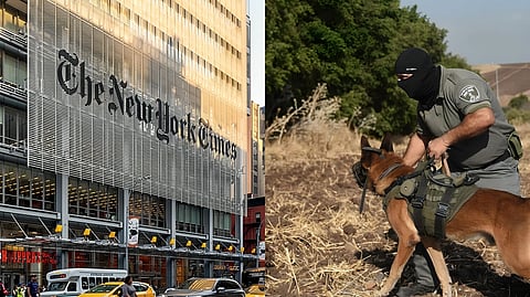 New York Times controversy over opinion article alleging sexual violence against Palestinians by Israeli forces