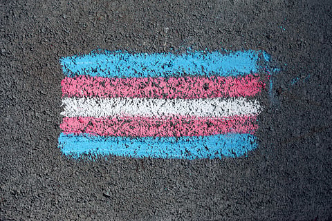 Chalk drawing of a transgender pride flag on asphalt. Features horizontal stripes in blue, pink, white, pink, and blue, symbolizing diversity and pride.