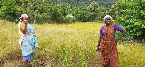 Two woman are working in the field in severe heat.