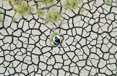Aerial view of a person sitting on cracked, dry earth surrounded by sparse tufts of grass, illustrating drought and environmental challenges.