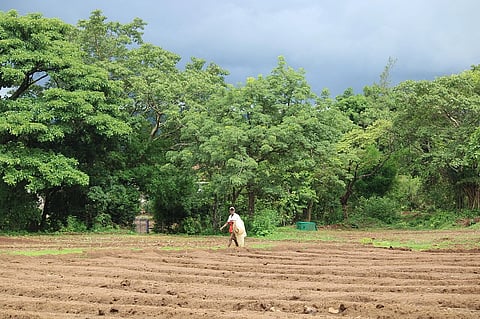 A farmer in a field walks along freshly tilled soil, surrounded by lush green trees and under a cloudy sky, conveying a peaceful rural scene.