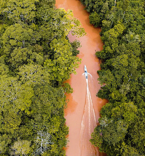 Bird's-eye view of a river snaking through the vibrant landscape of the Amazon rainforest.