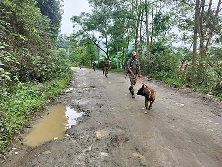 police sniffer dogs helping in locating the dead bodies of the naga men