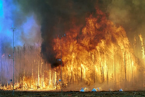 A large wildfire engulfs a dense forest, with tall flames and thick smoke rising into the sky; weather instruments are visible in the foreground.


