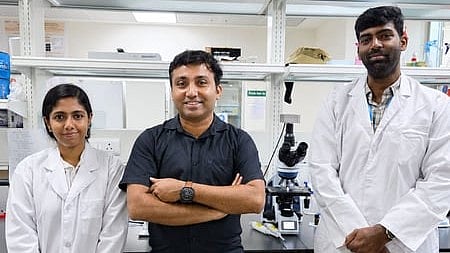 The study published as an Editor’s Choice article in The Journal of Infectious Diseases, reveals that young red blood cells can create a protective environment that allows malaria parasites to survive drug-induced stress.