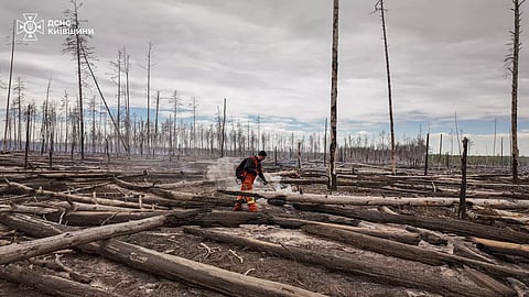 Aftermath of a forest fire in Chernobyl exclusion zone due to Russian drone attack. The fire lasted no less than week and engulfed more than 412 ha 