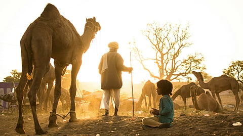 Camel with his herder and a child