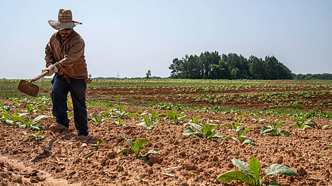 A farmer Using his tools ploughing his fields.