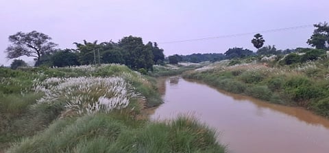 The Image is of keleghai river of west bengal.