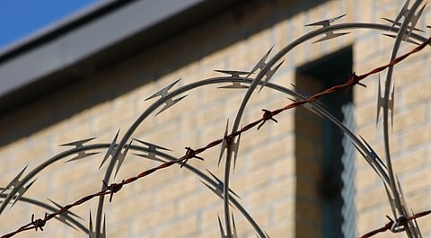 Sharp barbed wire in focus with a blurred brick wall background.
