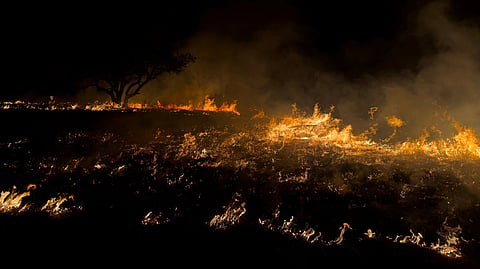 Cairngorms wildfire Scotland climate coverage analysis