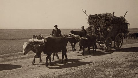 Iris trip to Syria, April 10-21. Jasiret el Arab. Steppe between Euphrates & Tigris. Assyrian refugees moving to new village. 