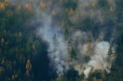 Aerial photograph capturing smoke rising through the colorful autumn forest scene.
