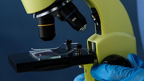 Close-up of a laboratory microscope with a glass slide, objective lenses, and blue-gloved hands adjusting the instrument; scientific tone.