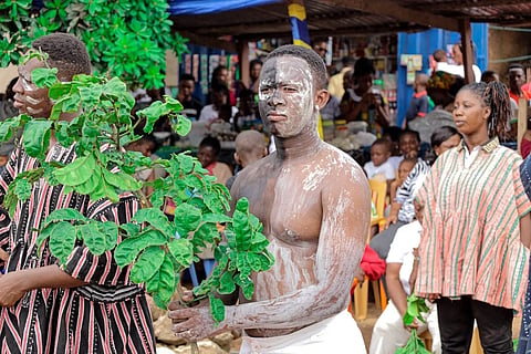Traditional herbal medicine market stall in Accra, Ghana, with plants and roots for sale