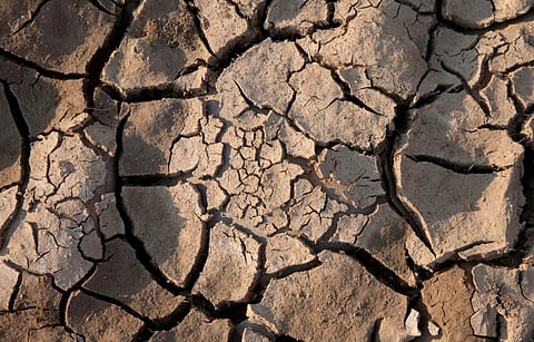 Top view of cracked dry earth representing severe drought and arid climate.
