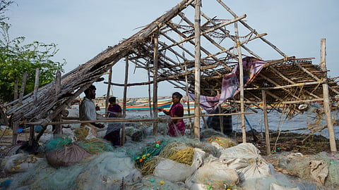 Pulicat, Tamil Nadu, fishing scene