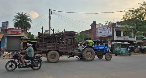 Busy urban street with a blue tractor hauling a wood-filled trailer, motorcyclist passing, auto-rickshaw nearby, shops and palms behind.