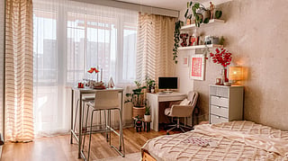Bright, cozy studio bedroom with a quilted bed, small desk, breakfast bar, leafy plants, and sheer-curtained windows in warm daylight.