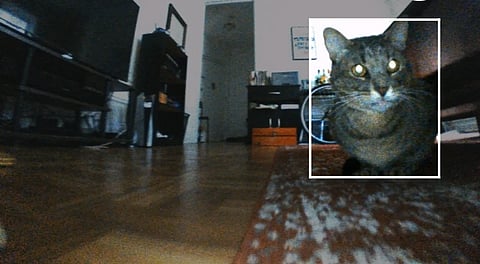 A photograph of a cat captured by a Roomba j7's collision detection system.
