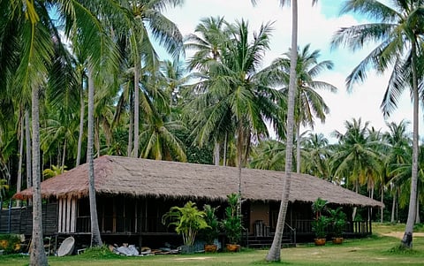 A serene tropical scene with a thatched-roof house surrounded by lush palm trees in Phuket, Thailand.

