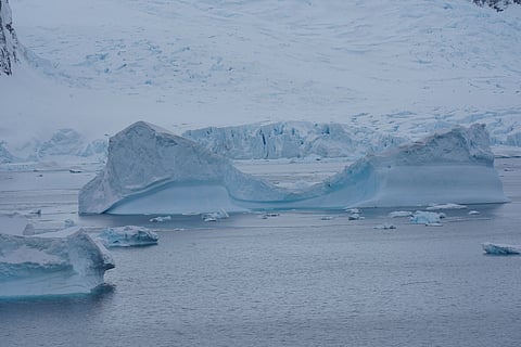 A breathtaking view of icebergs and glaciers in the Antarctic landscape, showcasing pristine nature and icy beauty.
