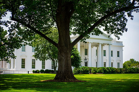 A view of the White House with lush greenery on a summer day, featuring a prominent tree.
