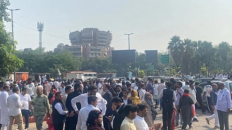 A dense crowd gathers on a sunny city street beneath palms and billboards, with office buildings in the background; the scene feels busy and energetic.