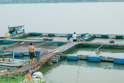 Fishermen working on a floating fish farm on a serene lake, showcasing aquaculture practices.
