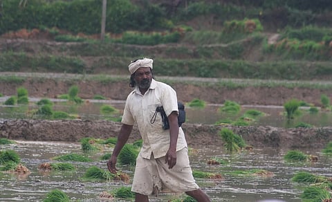 Image of Thalakkara Cheriya Raman or Cheruvayal Raman is a tribal agriculturist in Kammana, Near Mananthavady, Wayanad District, Kerala, India. he is seen walking through a agricultural land in the image.