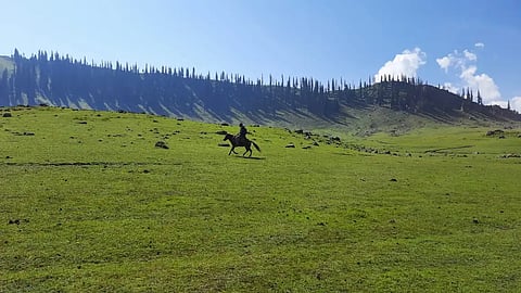Tosamaidan’s green meadow with a horse rider and forests.