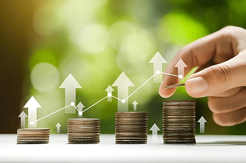 In the image stock rise is shown 