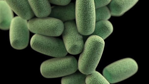 WhatsApp May Soon Ask Users To Verify Identity To Make Payments