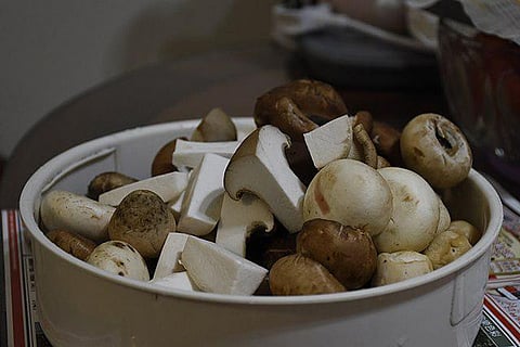 Food Experts Say Fermented Mushrooms Slash The Bitterness In Cocoa