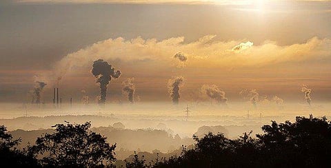 Early Exposure To Air Pollution May Affect Thinking Skills Later