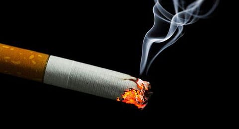 are fake cigarettes used in movies Honeyrose Herbal Cigarettes, Cigars & Loose are fake cigarettes used in movies Honeyrose Herbal Cigarettes, Cigars & Loose