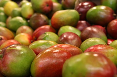 Mango Growers May Suffer 100% Loss Due to Lockdown: Experts
