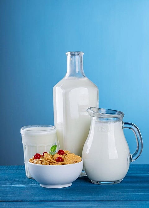 Consume Protein From Dairy,Plant Sources and Not Red Meat: Researchers