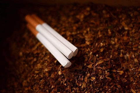 exhaling cigarette smoke through nose Man exhales vapor through his nose exhaling cigarette smoke through nose Man exhales vapor through his nose