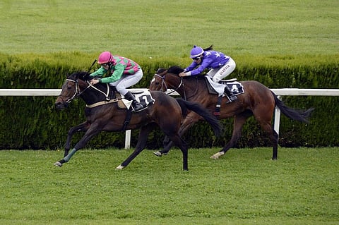 Where To Watch Horse Racing In India?