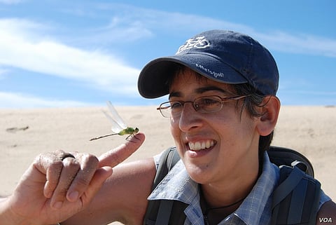 Research: Having Diverse Natural Areas Near Agriculture Helps Farmers Financially During Calamities
