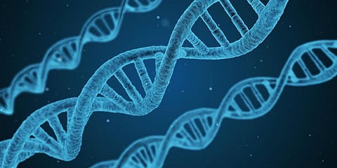 CCMB, CDFD to Address the Genetic Disease Burden of Indian Population