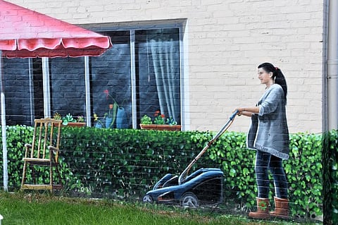 How to Maintain your Yard this Summer