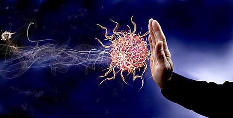 Fatal Fungal Infection Weakens the Immune System- Study