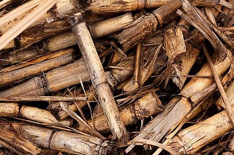 UN Claims Environmental Threats To The World are Result Of Lethargic Laws