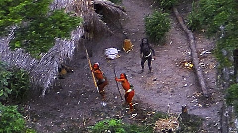 Illegal Loggers Threaten ‘Uncontacted Indigenous Tribes’ In The Amazon