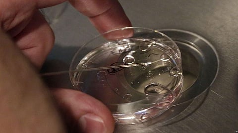 Scientists Take Step Toward Creating Artificial Embryos