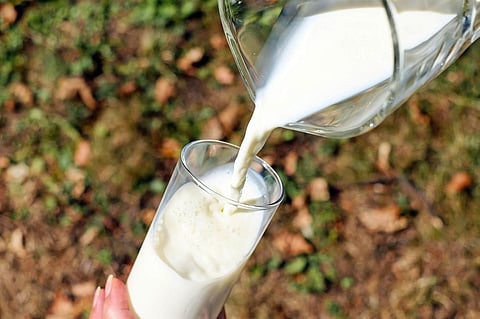 Study Suggests Obese Children who Meet Milk Guidelines Have Less Risk of Metabolic Syndrome