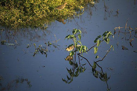 Maharashtra’s climate action plan yielded disappointments